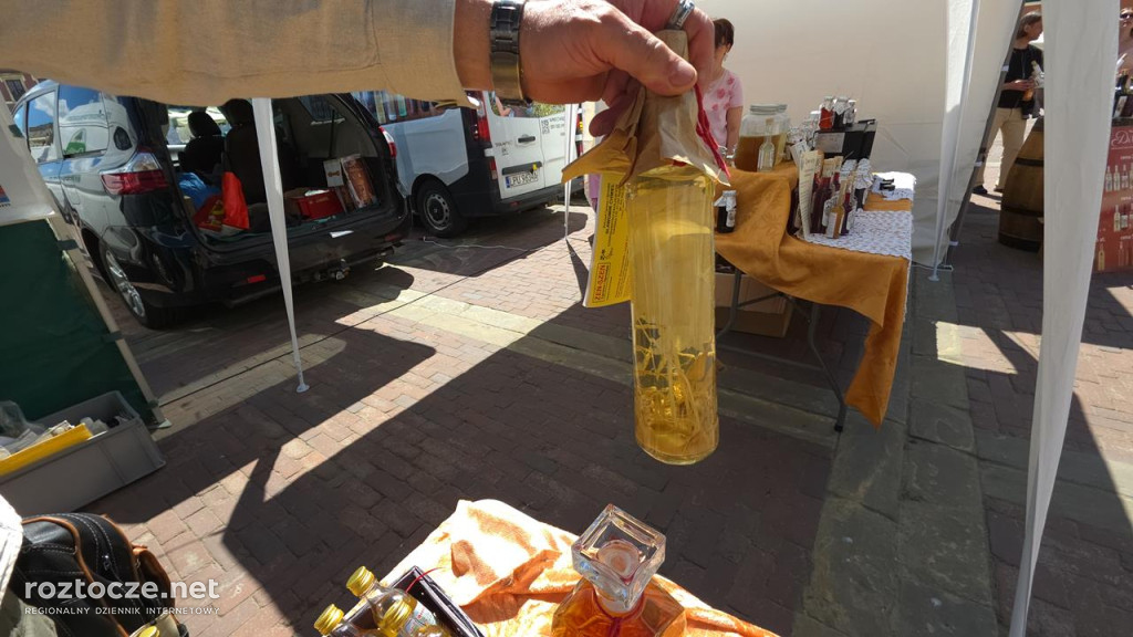 XI Festiwal Żywności Wolnej od GMO w Zamościu