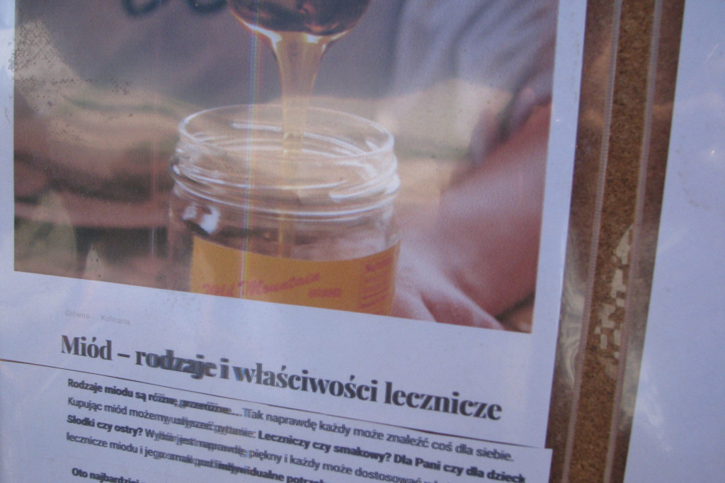 Zamość: 23. Jarmark Hetmański pełny atrakcji