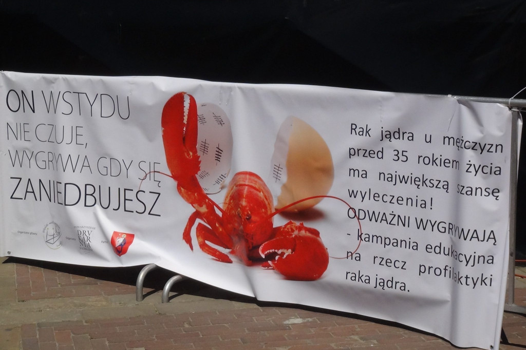 Zamość: 23. Jarmark Hetmański pełny atrakcji
