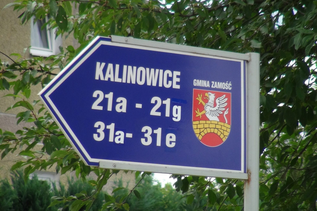 Gm. Zamość: Trwa przebudowa drogi w Kalinowicach [FOTO]
