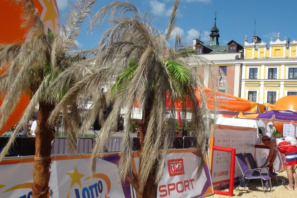 Zamość: Palmy kokosowe na Rynku Wielkim - jak Wam się podobają? [FOTO]