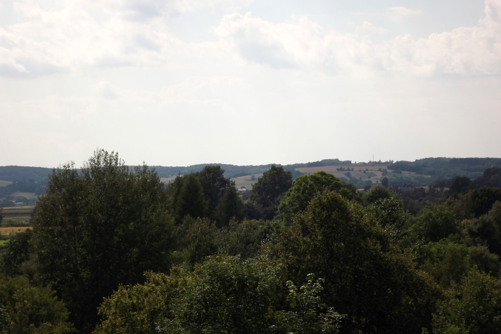 Sąsiadka: Tłumy na Pikniku Archeologicznym