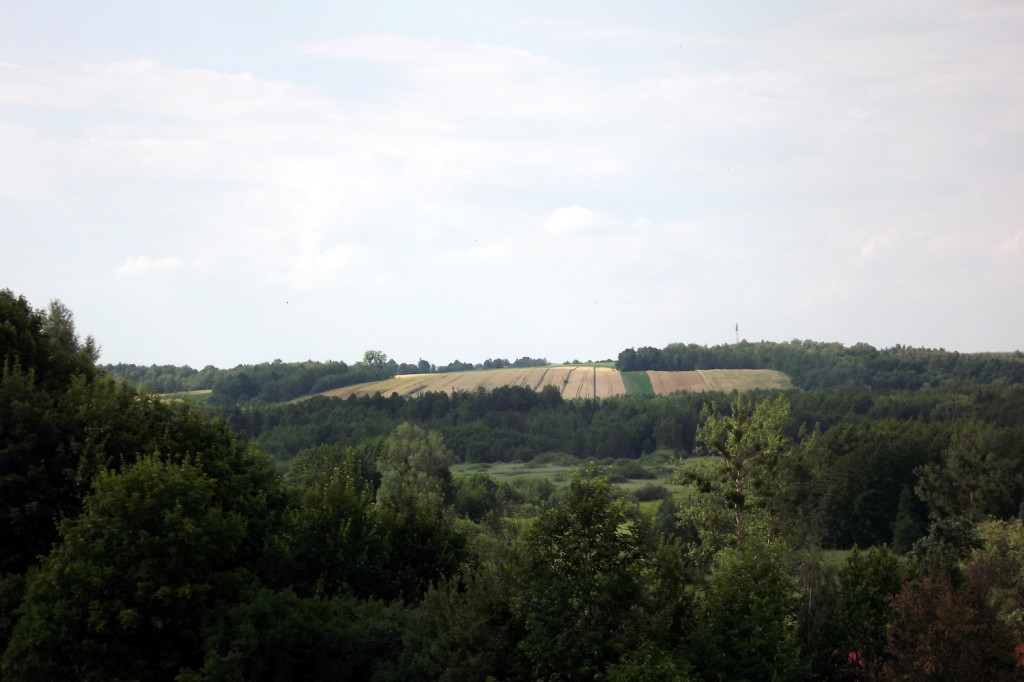 Sąsiadka: Tłumy na Pikniku Archeologicznym