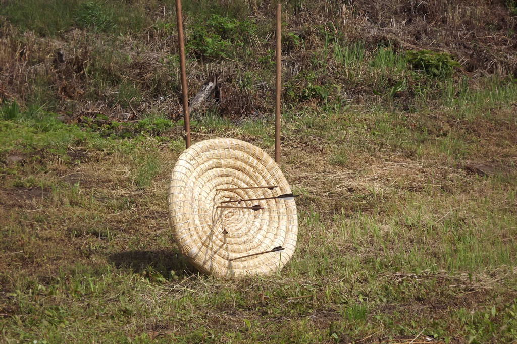 Sąsiadka: Tłumy na Pikniku Archeologicznym