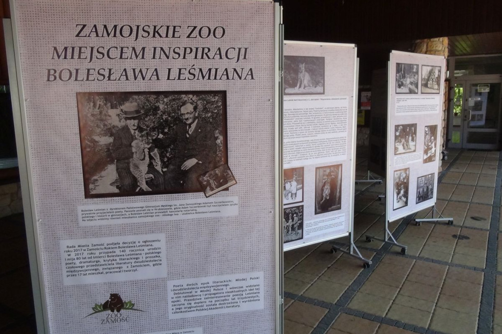 Zamość: Jak ZOO inspirowało Leśmiana?