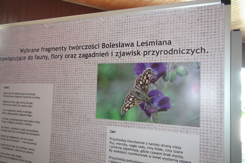 Zamość: Jak ZOO inspirowało Leśmiana?