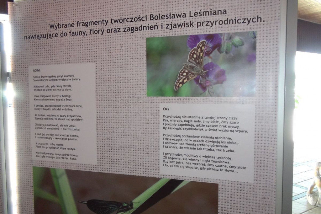 Zamość: Jak ZOO inspirowało Leśmiana?