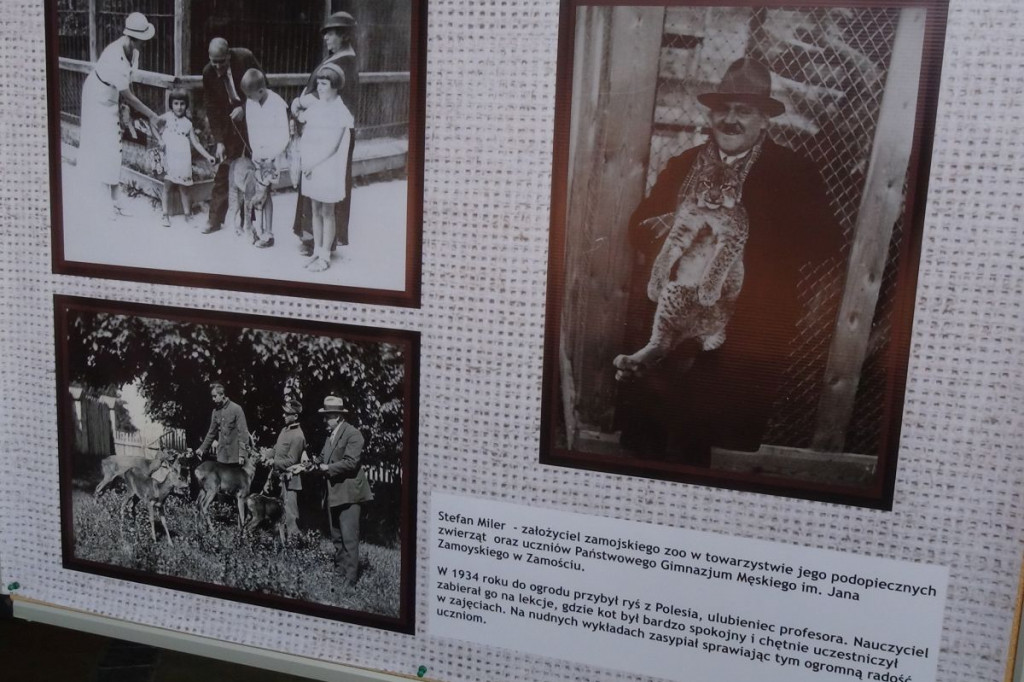 Zamość: Jak ZOO inspirowało Leśmiana?