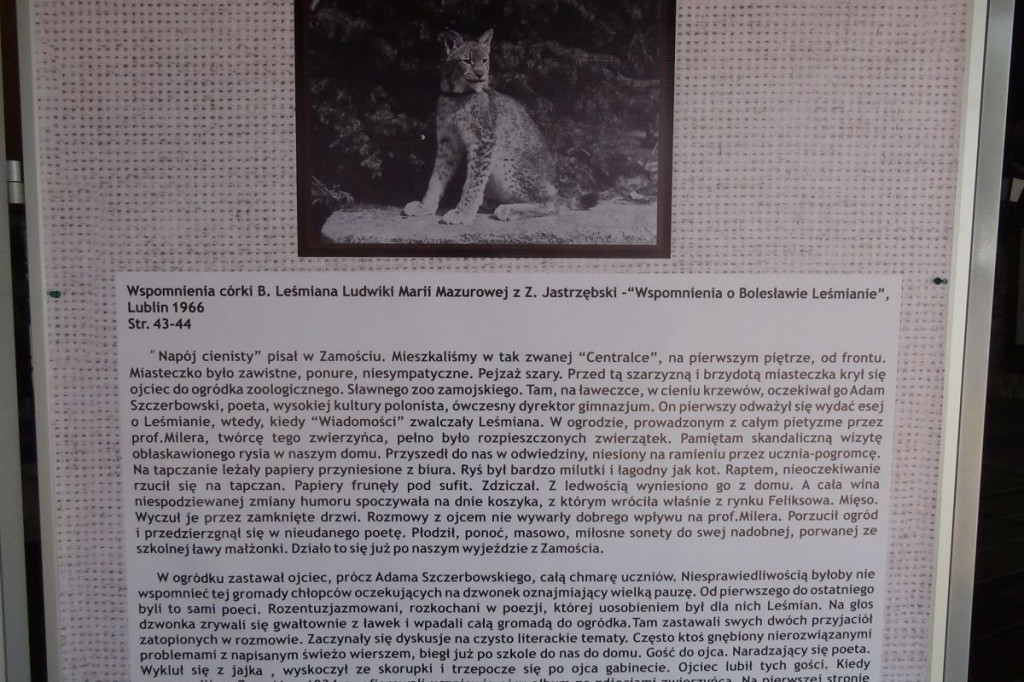 Zamość: Jak ZOO inspirowało Leśmiana?