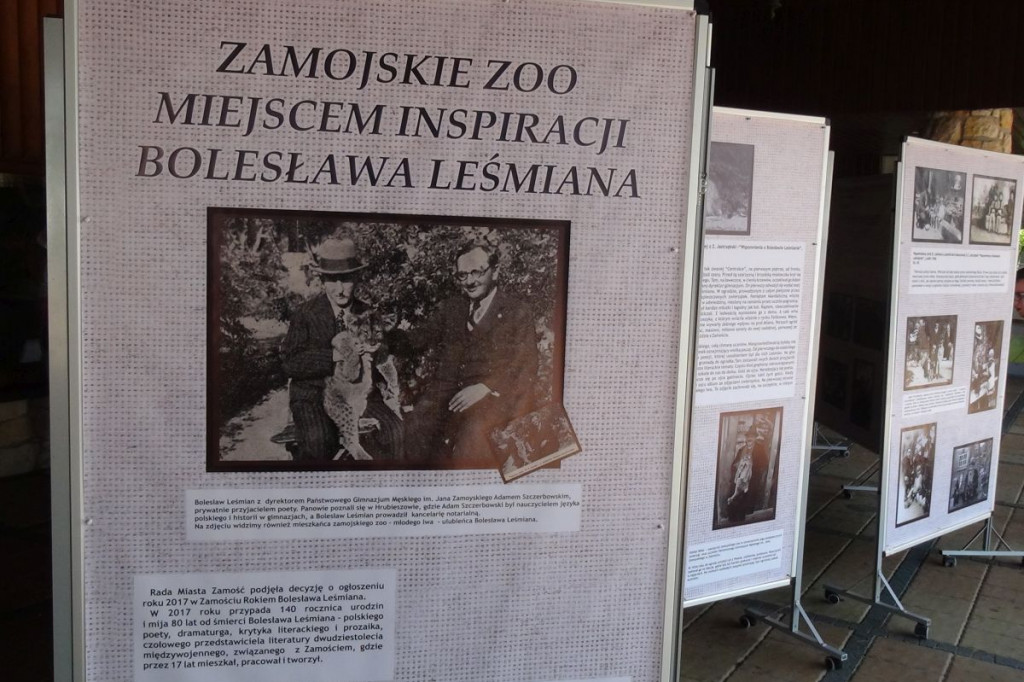 Zamość: Jak ZOO inspirowało Leśmiana?