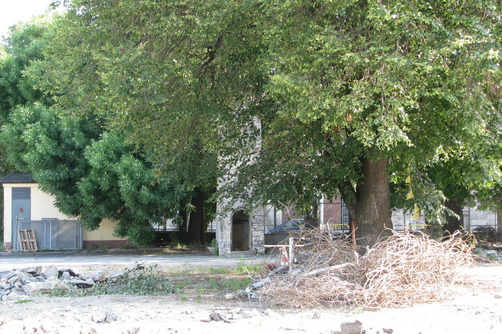 Zamość: Wyburzanie Zielonego Rynku