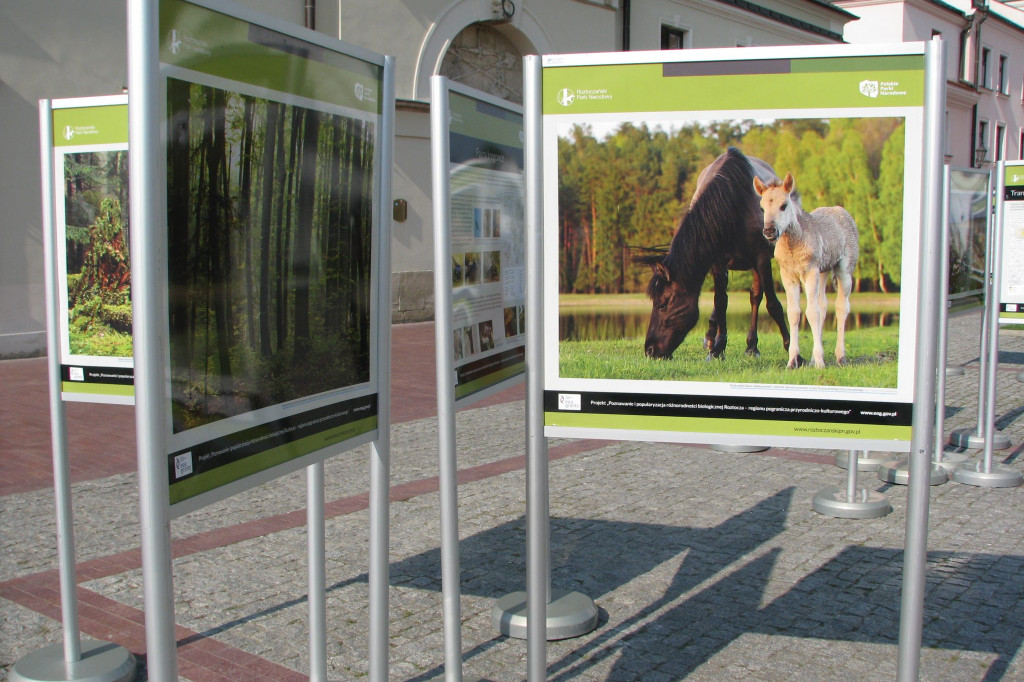 Zamość: Różnorodność przyrodnicza i kulturowa RPN i Roztocza - zobacz wystawę