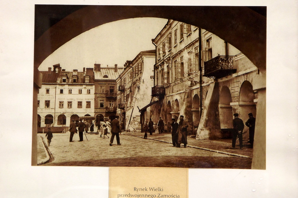 Zamość: Cechy, stany, etapy, zjawiska... czyli Wschodnia 2017 [FOTO]