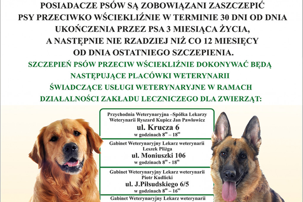 Tomaszów Lubelski: Miasto sponsoruje szczepienia psów