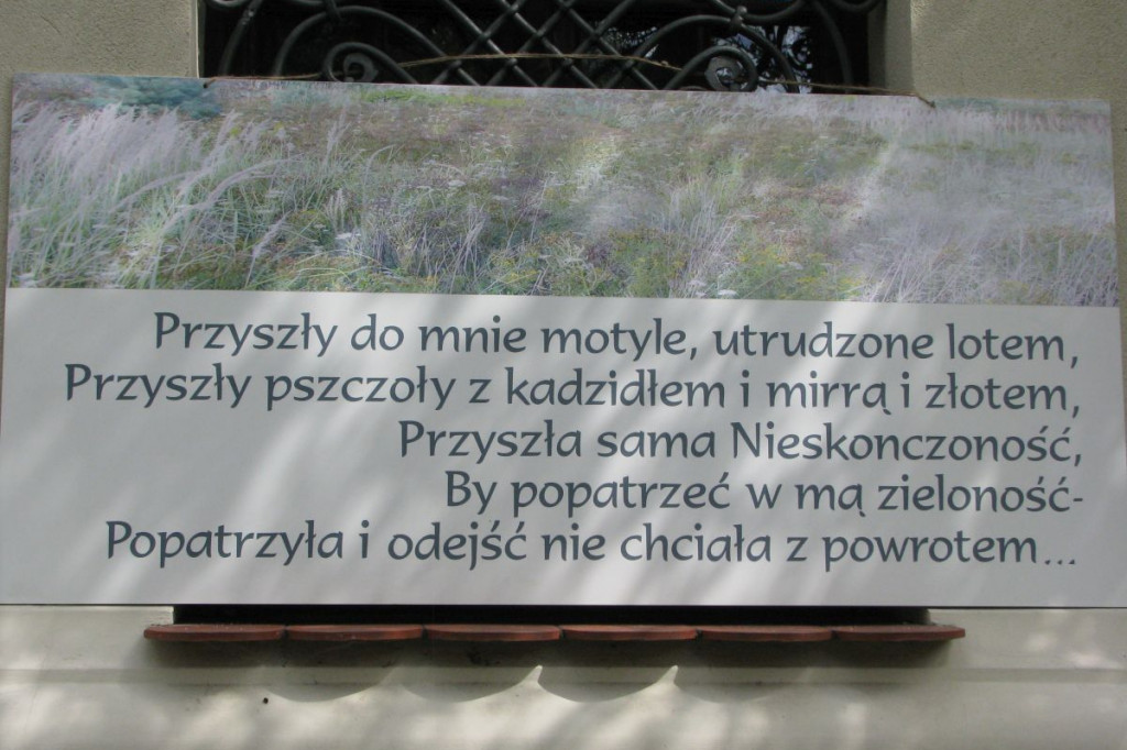 Zamość: Czytamy Leśmiana