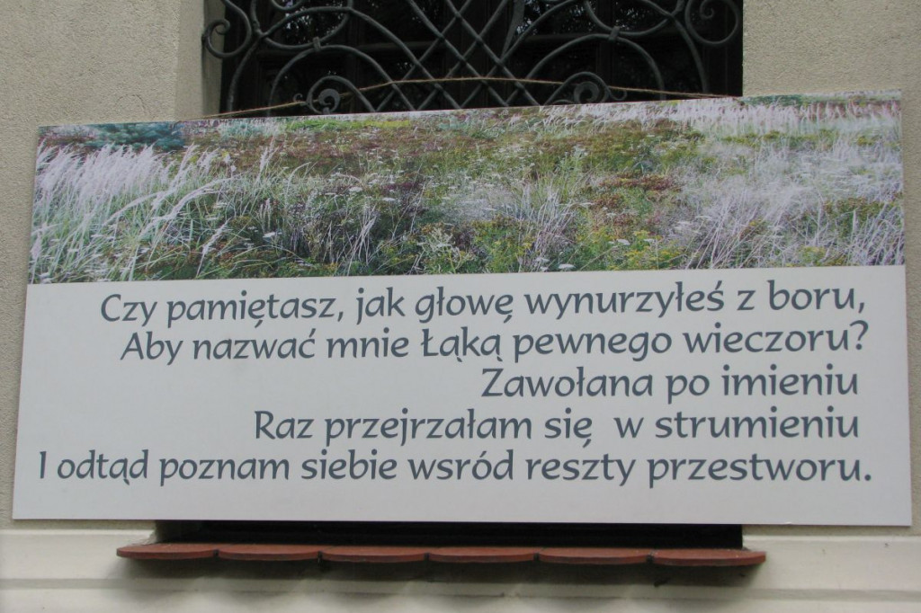 Zamość: Czytamy Leśmiana