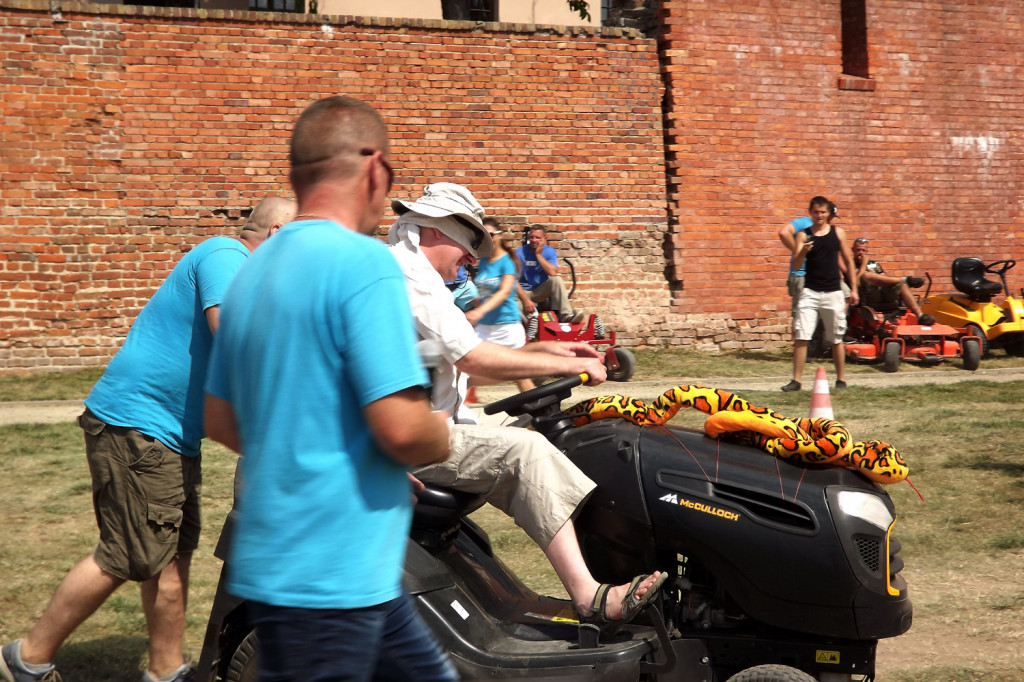 Zamość: Wykosili konkurencję