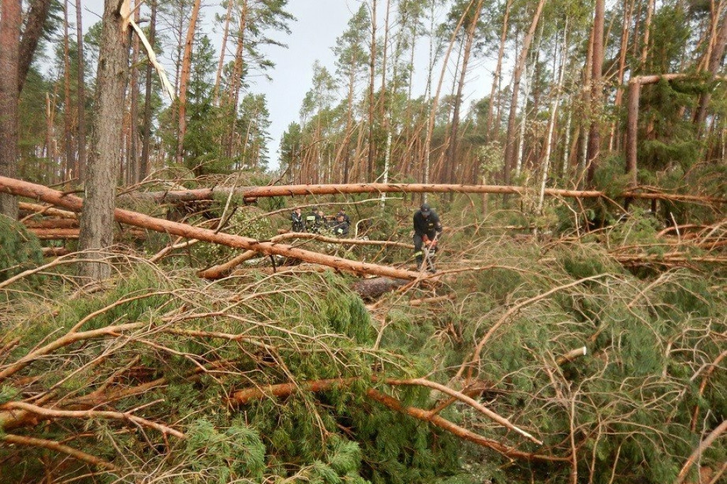 Region: Strażacy z Zamojszczyzny pomagali na Pomorzu