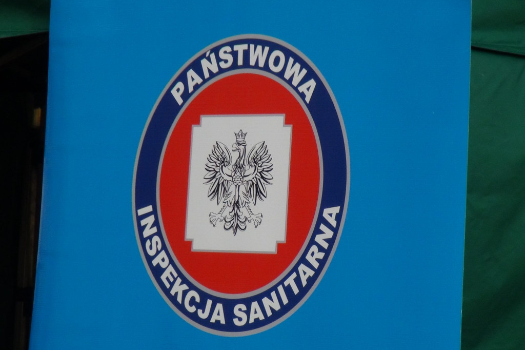 Zamość: Na grzyby!