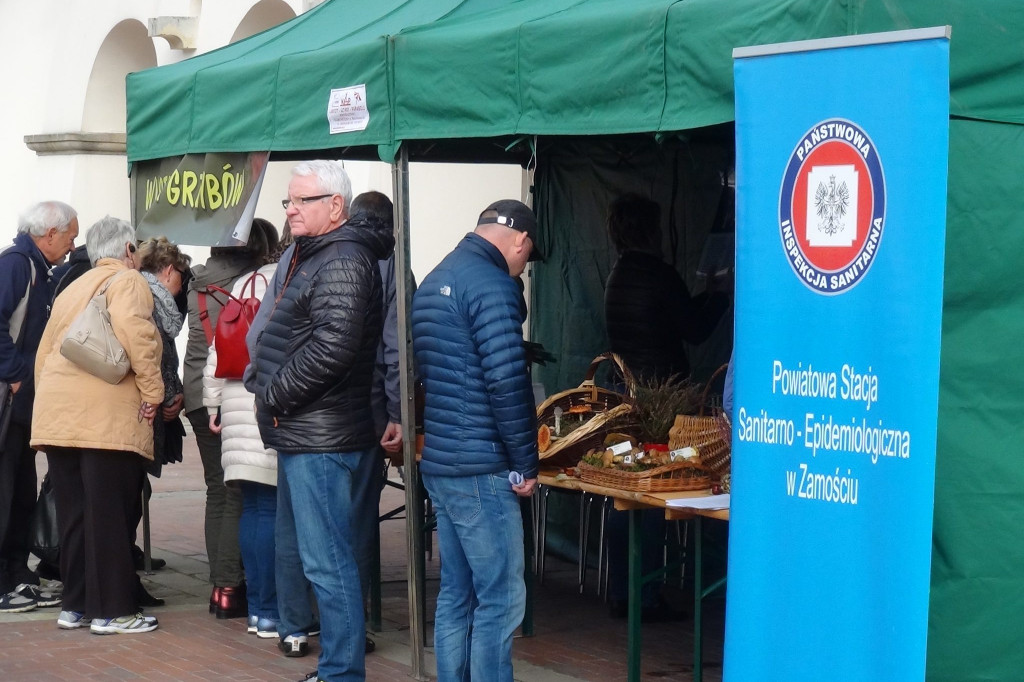 Zamość: Na grzyby!