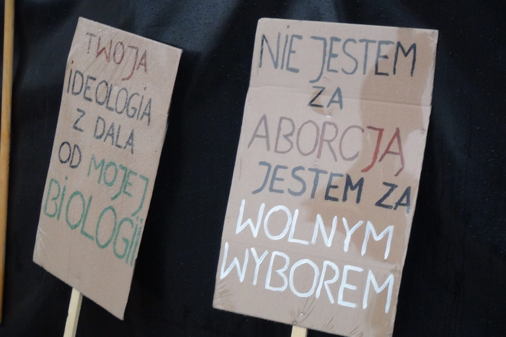 Zamość: 