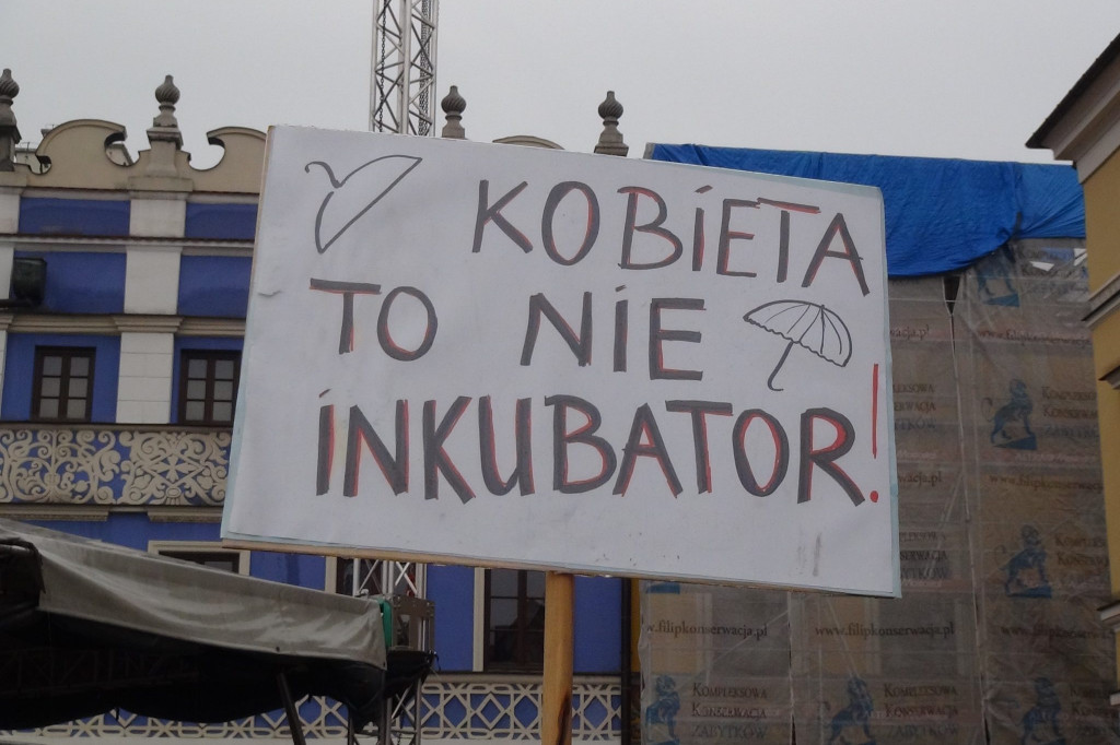 Zamość: 