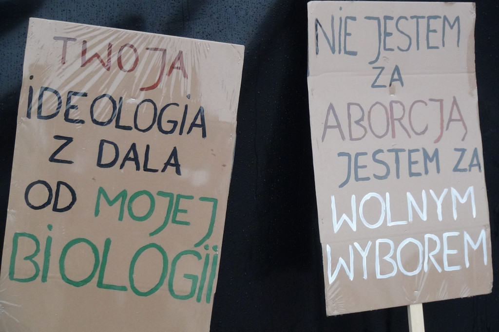 Zamość: 