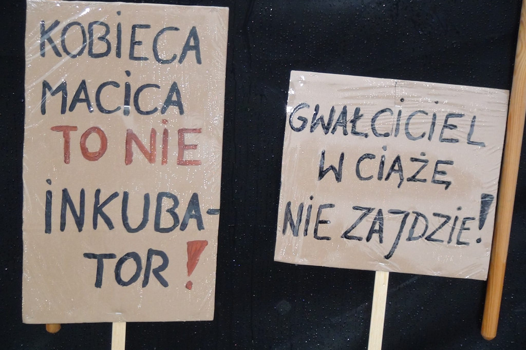 Zamość: 