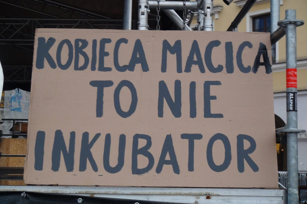 Zamość: 