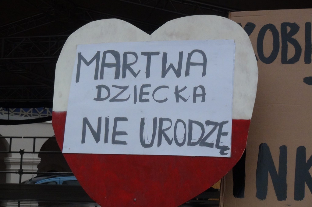 Zamość: 