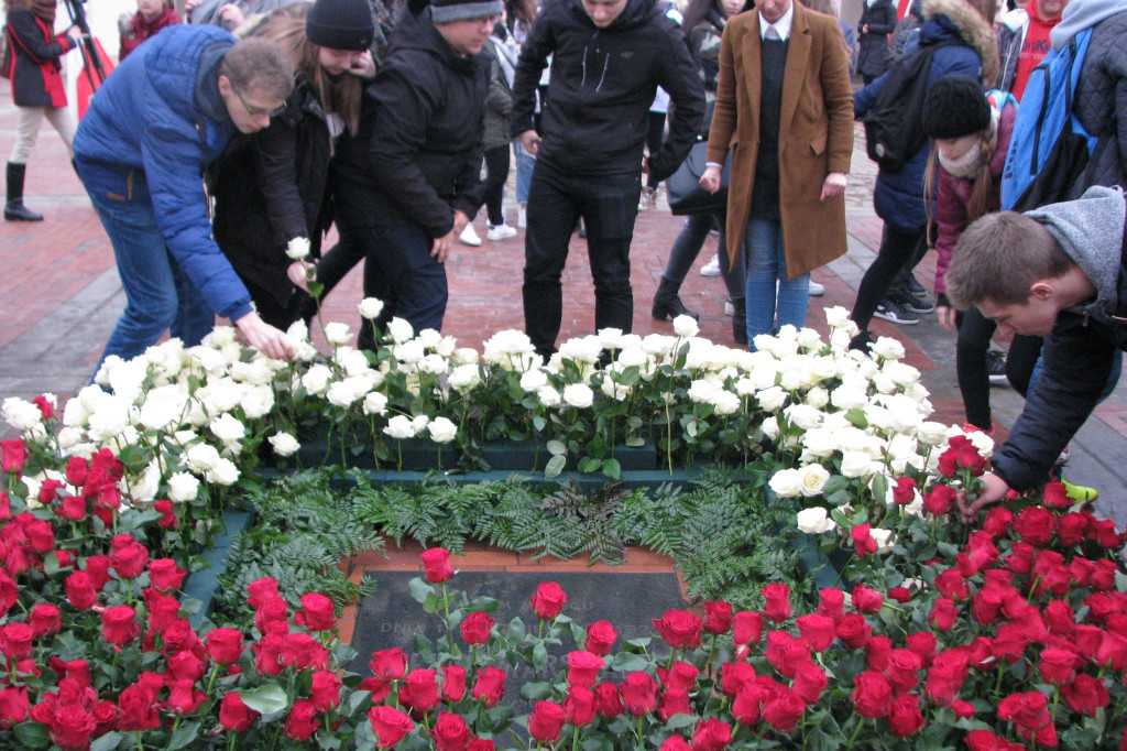 Zamość: Biało-czerwona flaga z 1000 róż [FOTO]