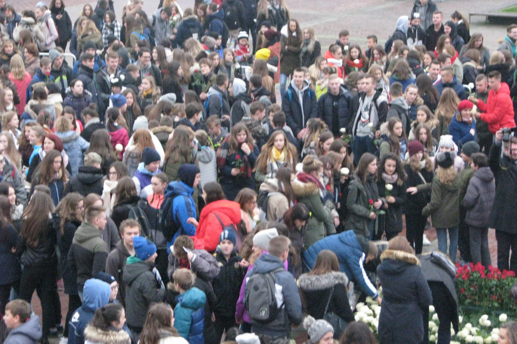 Zamość: Biało-czerwona flaga z 1000 róż [FOTO]