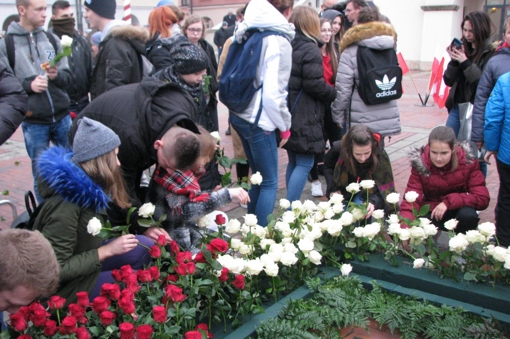 Zamość: Biało-czerwona flaga z 1000 róż [FOTO]