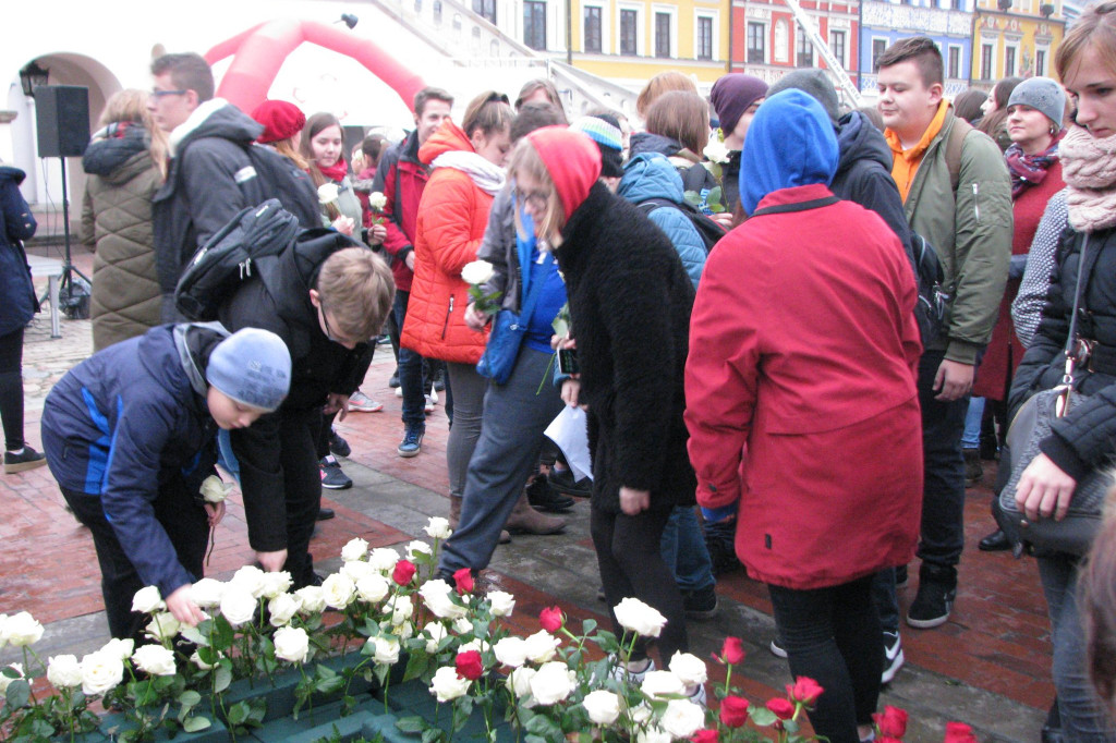 Zamość: Biało-czerwona flaga z 1000 róż [FOTO]
