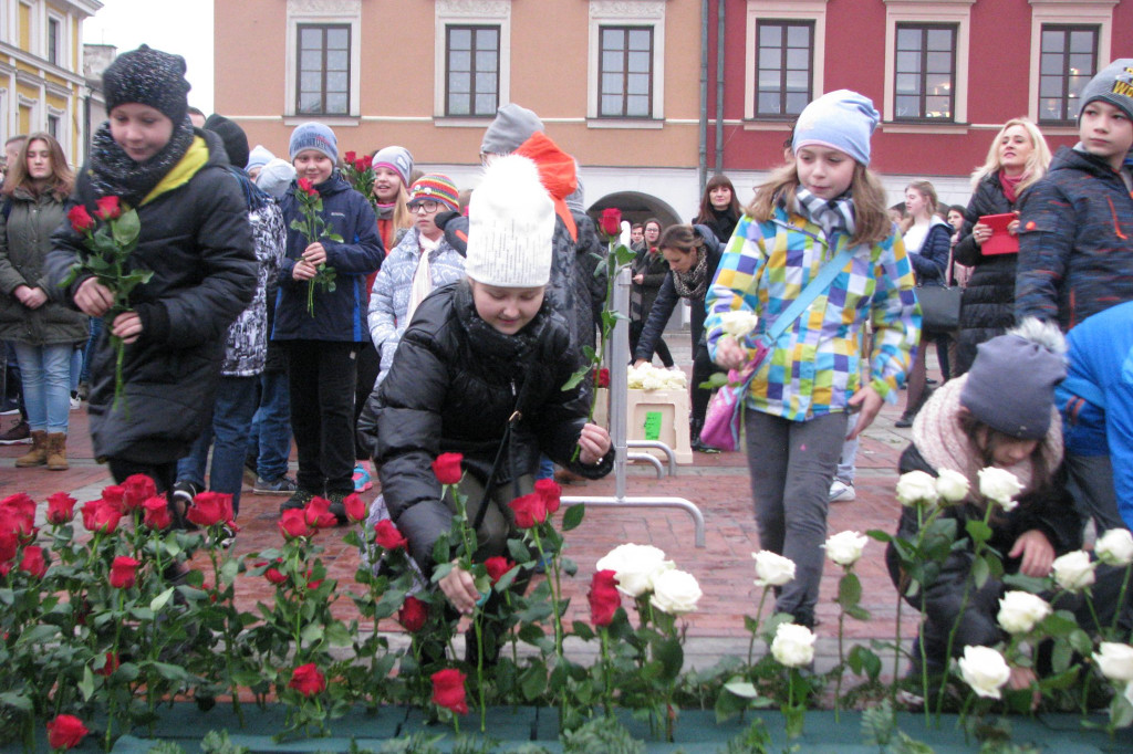 Zamość: Biało-czerwona flaga z 1000 róż [FOTO]