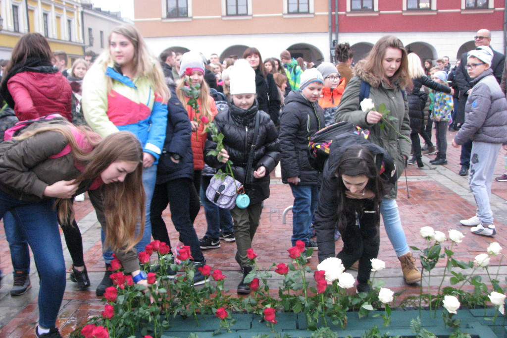 Zamość: Biało-czerwona flaga z 1000 róż [FOTO]