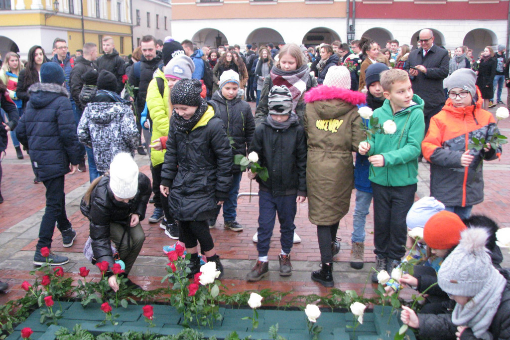 Zamość: Biało-czerwona flaga z 1000 róż [FOTO]
