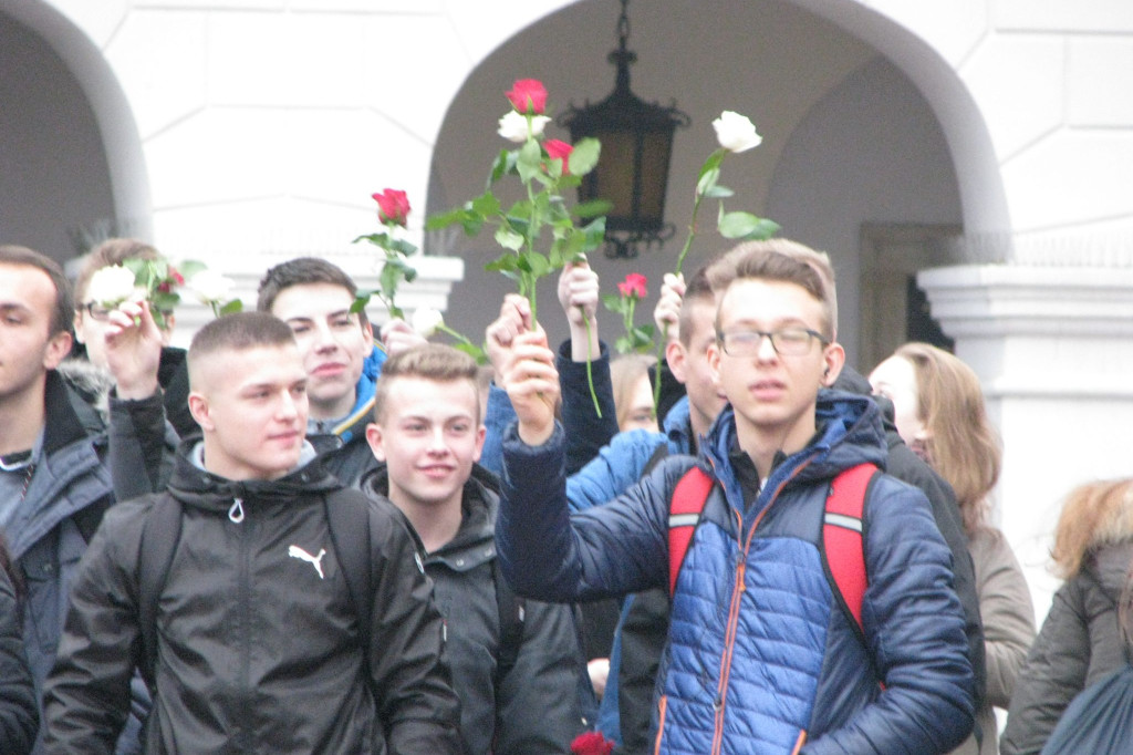 Zamość: Biało-czerwona flaga z 1000 róż [FOTO]