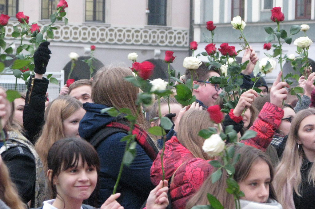 Zamość: Biało-czerwona flaga z 1000 róż [FOTO]