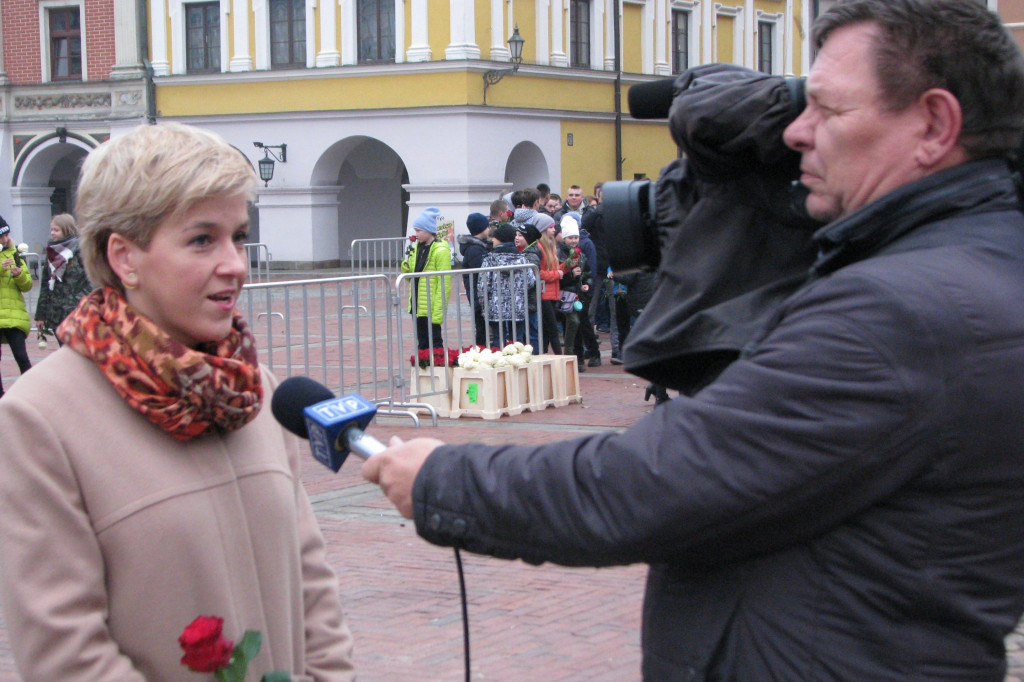 Zamość: Biało-czerwona flaga z 1000 róż [FOTO]