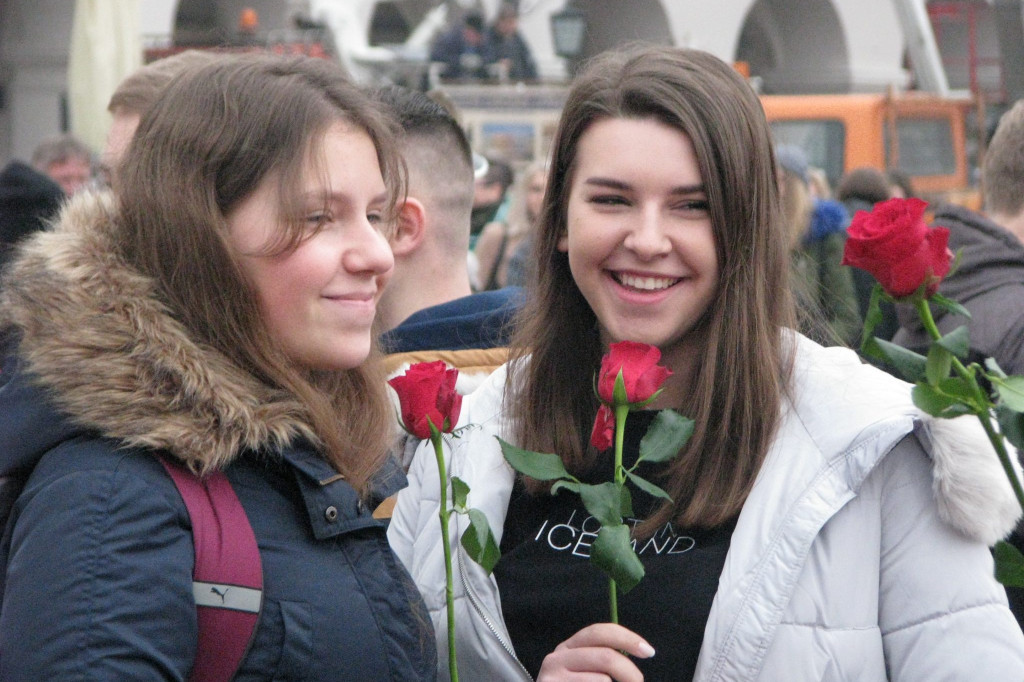 Zamość: Biało-czerwona flaga z 1000 róż [FOTO]
