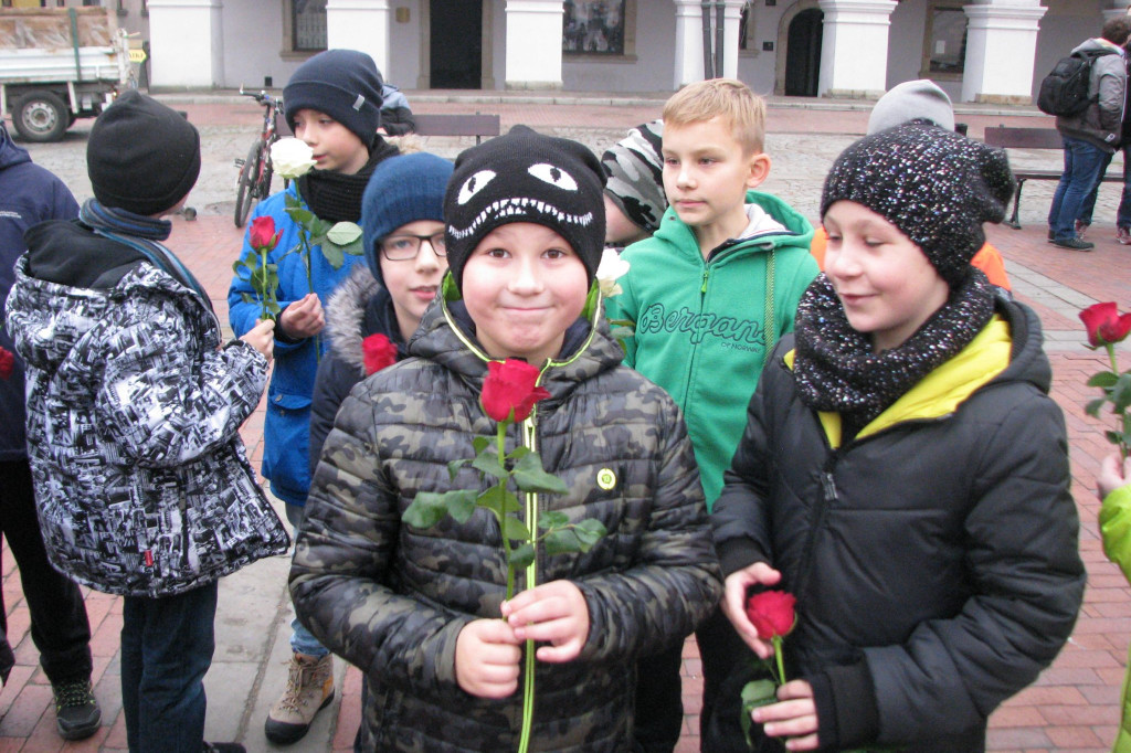Zamość: Biało-czerwona flaga z 1000 róż [FOTO]