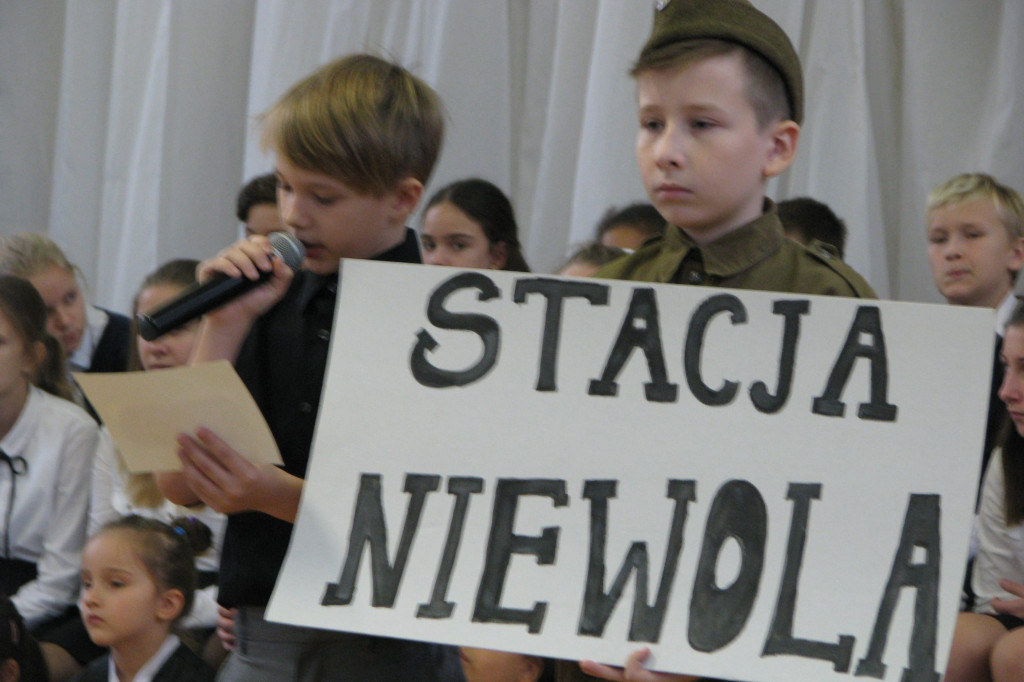 Zamość: 