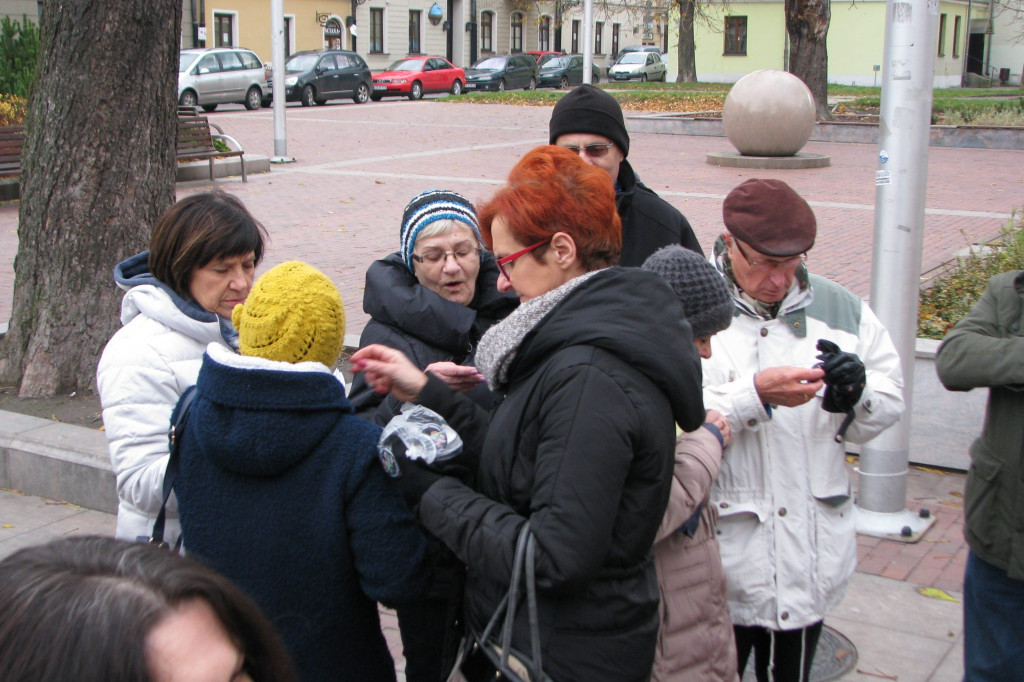 Zamość: Liść Demokracji na Rynku Wodnym [FOTO, VIDEO]