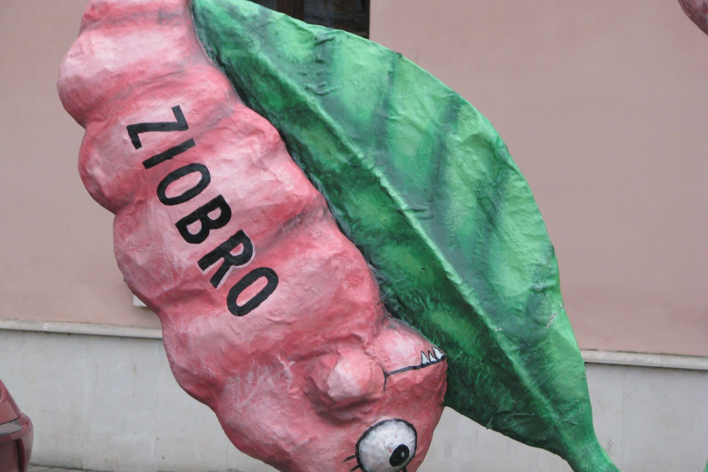 Zamość: Liść Demokracji na Rynku Wodnym [FOTO, VIDEO]