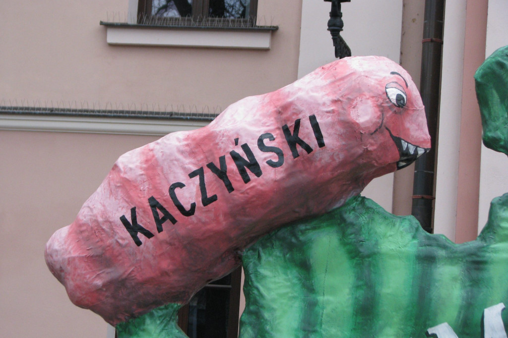 Zamość: Liść Demokracji na Rynku Wodnym [FOTO, VIDEO]