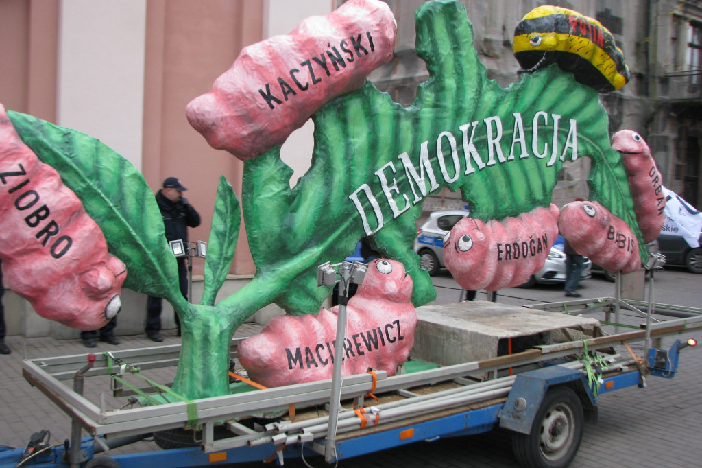 Zamość: Liść Demokracji na Rynku Wodnym [FOTO, VIDEO]