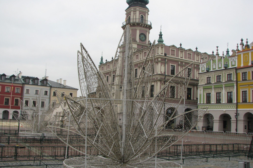 Zamość: Ogród Wyobraźni powstaje na Rynku Wielkim [FOTO]