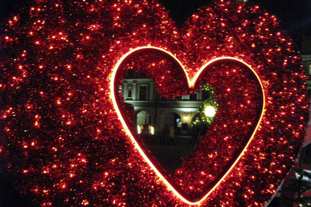 Zamość: Ogród Wyobraźni otwarty [FOTO]