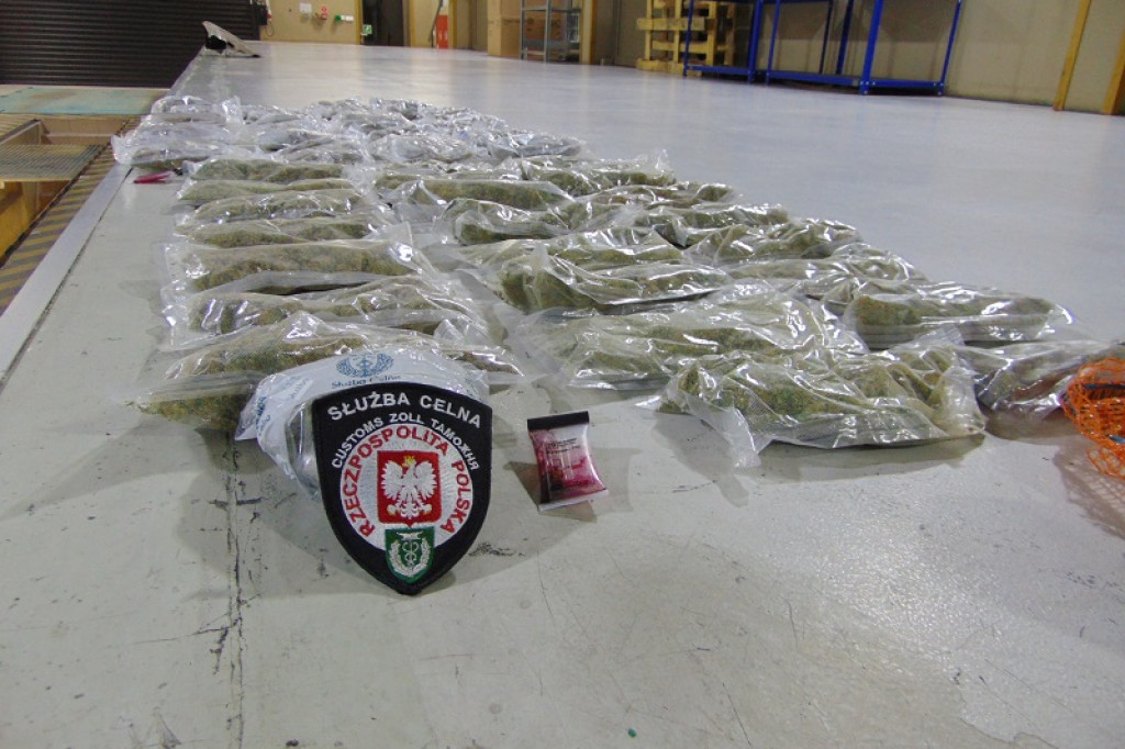 Dołhobyczów: Marihuana .... w skrzyni biegów